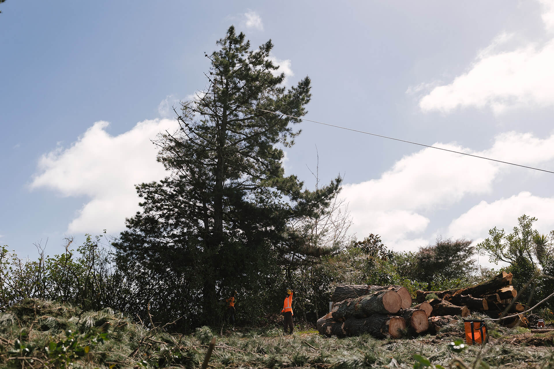 Large Tree Removal, Land Clearing and Chipping Hughes Contracting